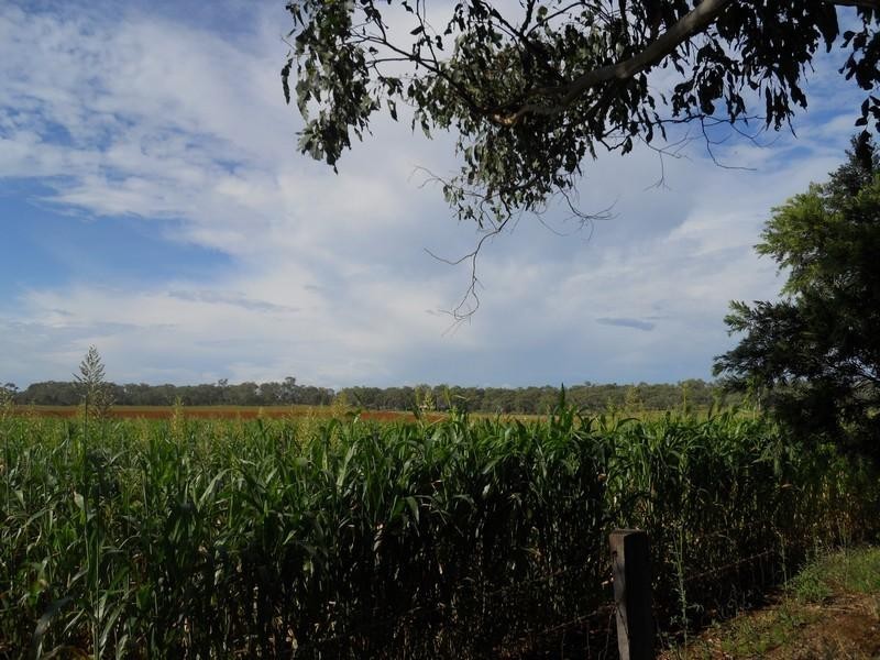 00 Saville Road, Clifton QLD 4361