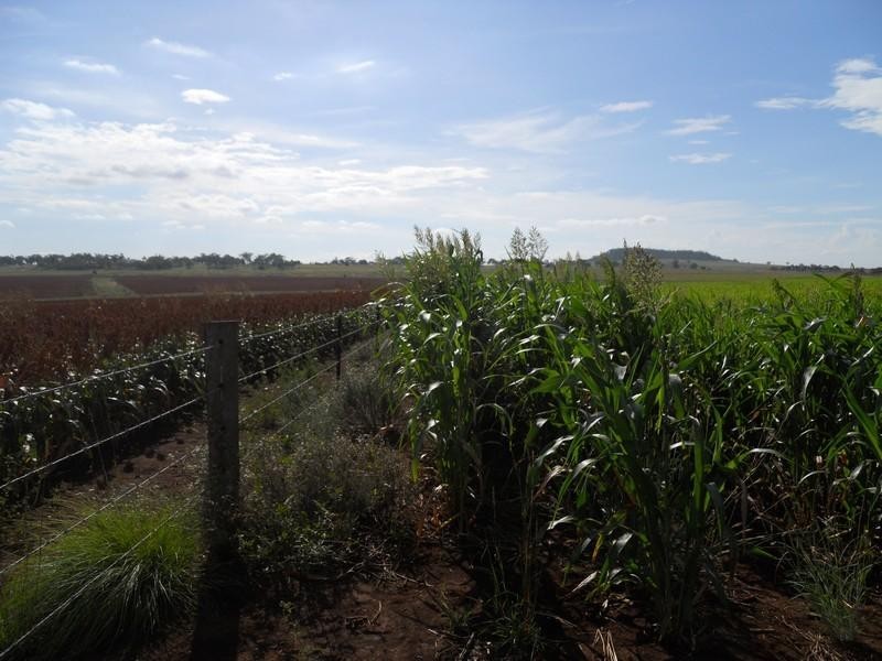 00 Saville Road, Clifton QLD 4361