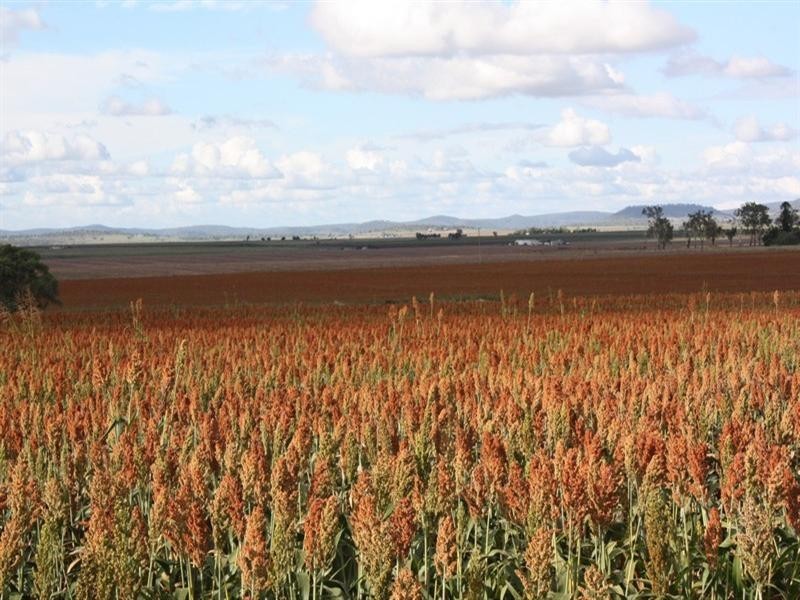 0 Saville Road, Clifton QLD 4361