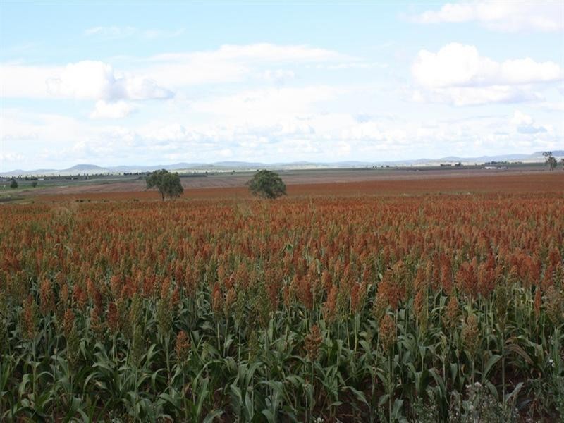 0 Saville Road, Clifton QLD 4361