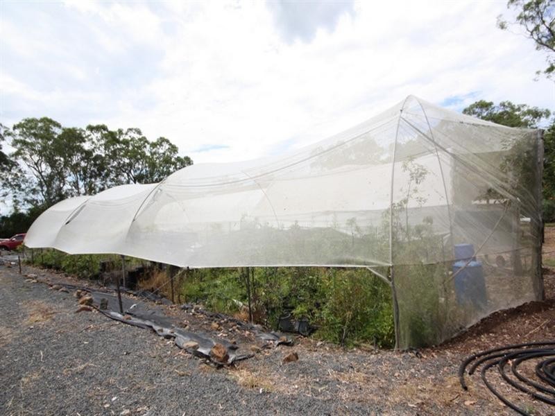 11 Hoopman Road, Hodgson Vale QLD 4352