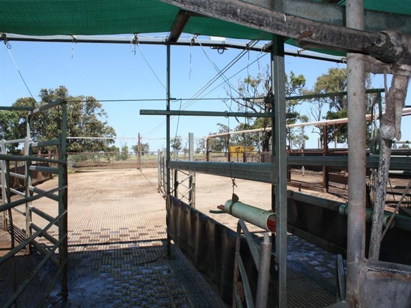 140 Umbiram School Road, Wyreema QLD 4352
