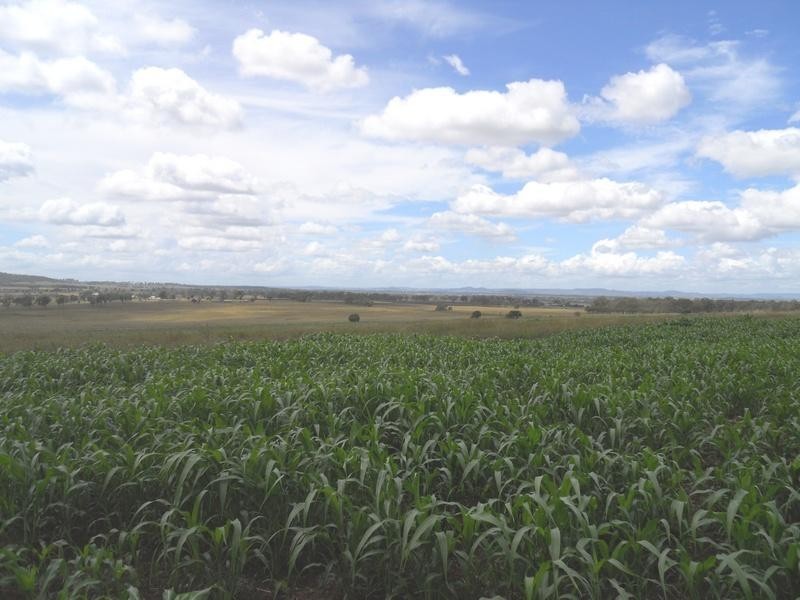 260 Luck Road, Linthorpe QLD 4356