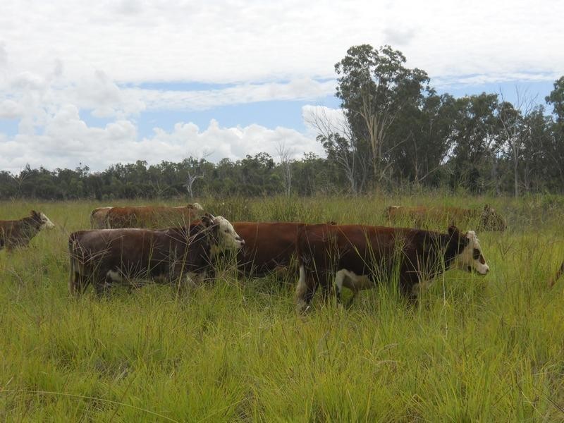 0 Millmerran – Koorongarra, Millmerran QLD 4357