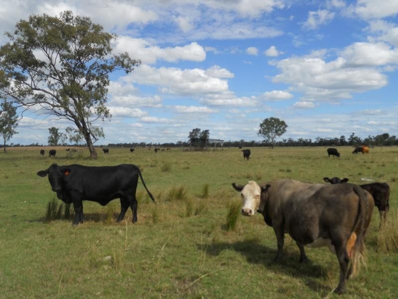 0 owen scrub Road, Millmerran QLD 4357