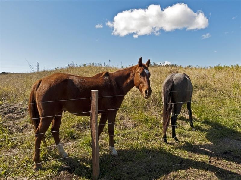 123 Meynink Road, Hodgson Vale QLD 4352