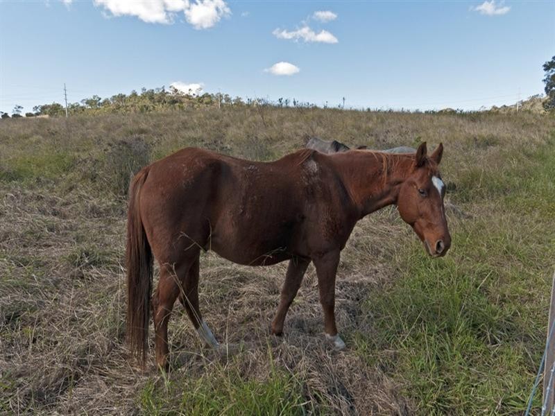 123 Meynink Road, Hodgson Vale QLD 4352