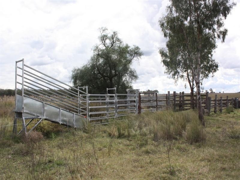 80 Kessler Road, Nobby QLD 4360