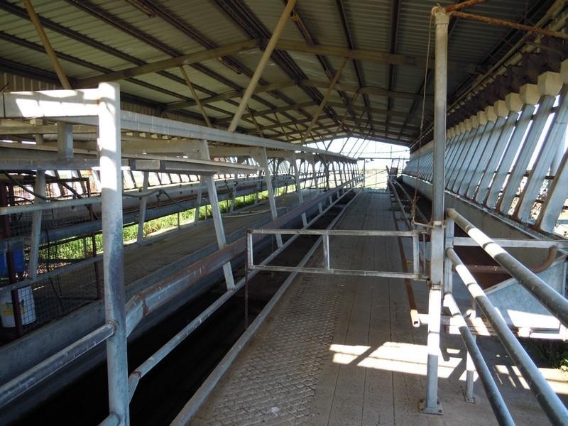 0 Pittsworth-Clifton Road, Pittsworth QLD 4356