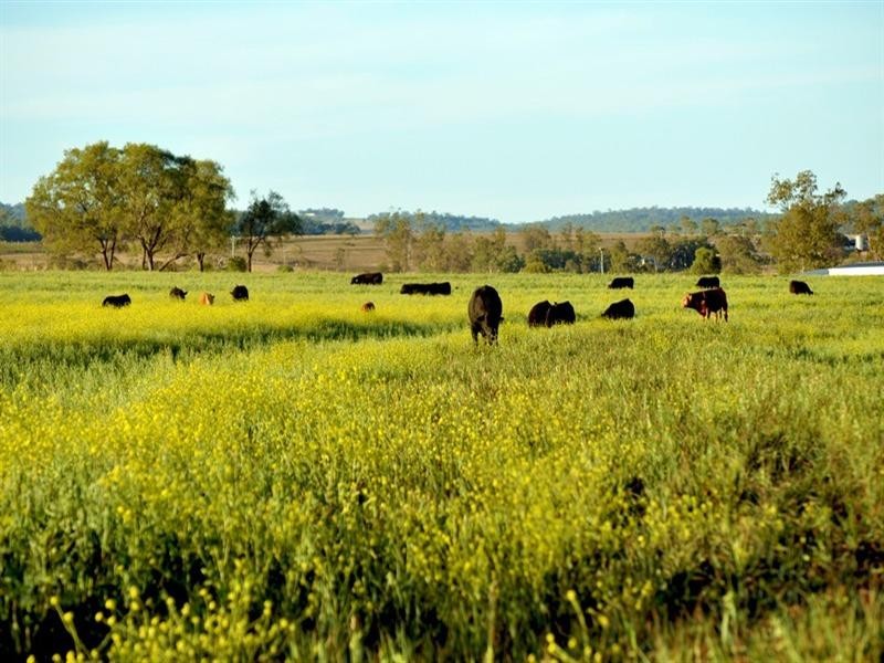 0 Pittsworth-Clifton Road, Pittsworth QLD 4356