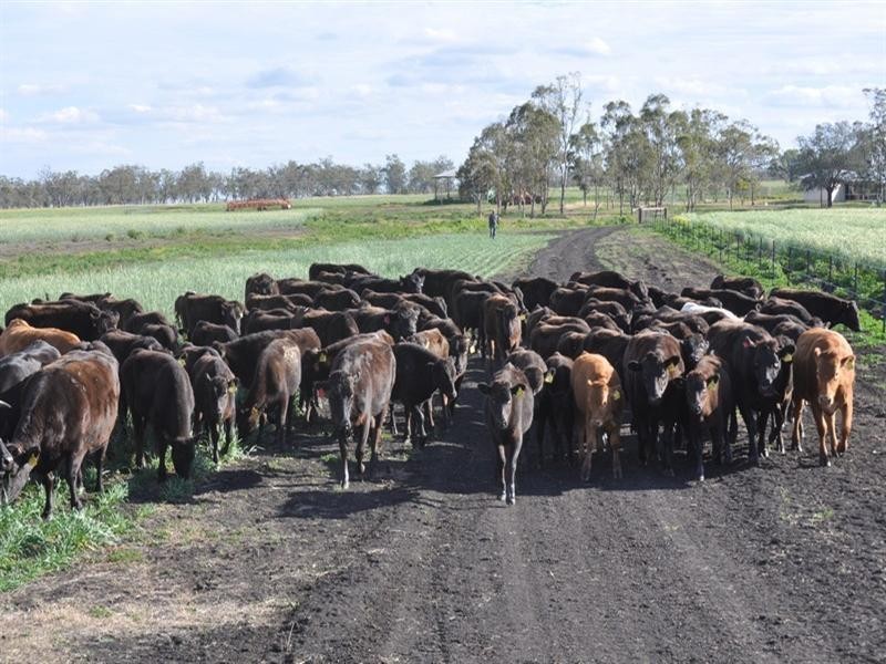 0 Pittsworth-Clifton Road, Pittsworth QLD 4356