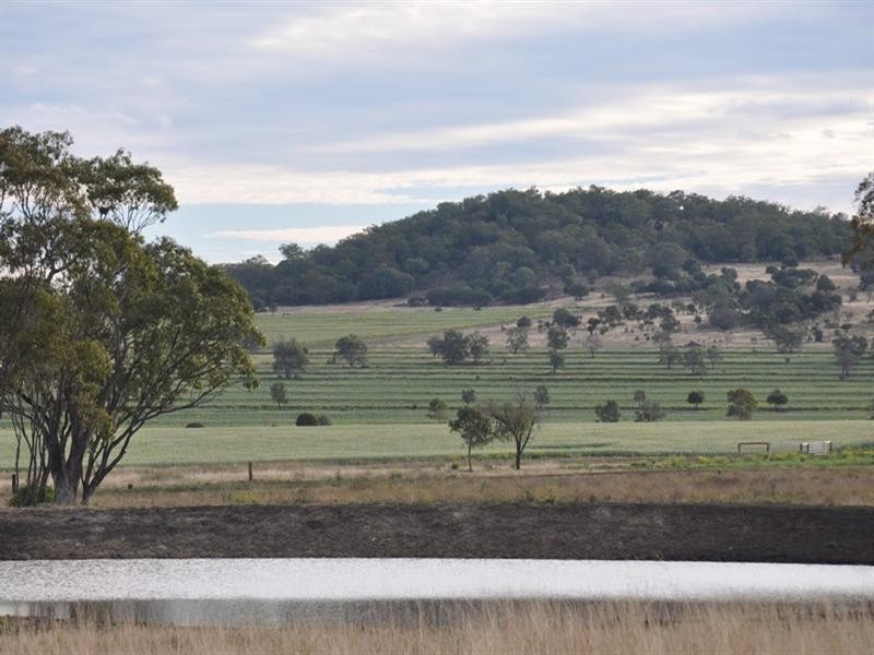 0 Pittsworth-Clifton Road, Pittsworth QLD 4356