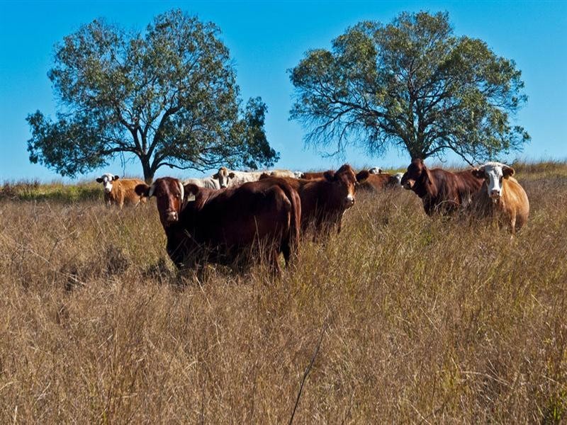 0 Sullivan Road, Pittsworth QLD 4356