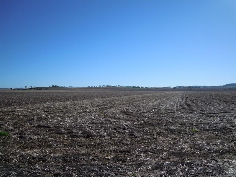 0 Clifton-Leyburn Road, Clifton QLD 4361