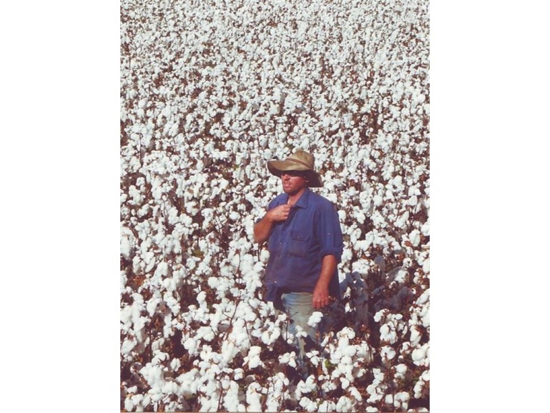 245 Dooley Road, Brookstead QLD 4364