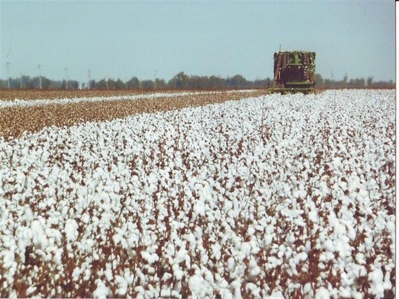 245 Dooley Road, Brookstead QLD 4364