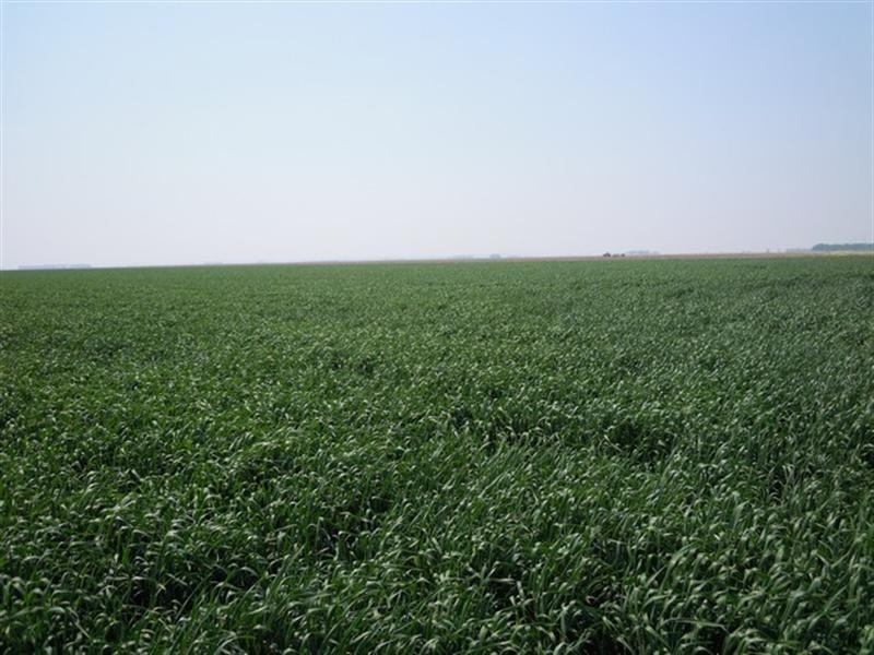 0 West Prairie Road, Jondaryan QLD 4403