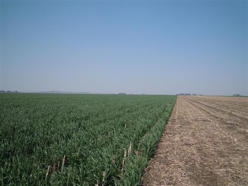 0 West Prairie Road, Jondaryan QLD 4403