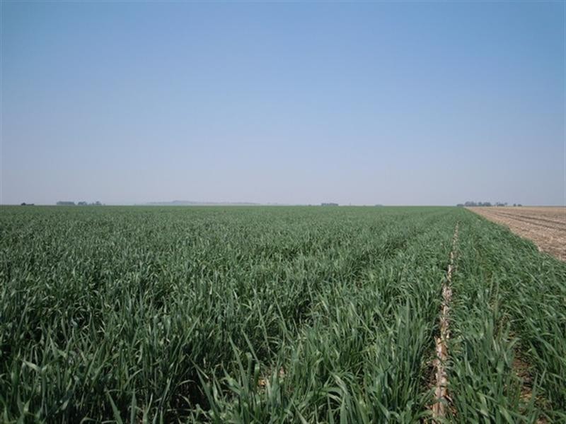 0 West Prairie Road, Jondaryan QLD 4403