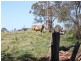 206 Ramsay School Road, Ramsay QLD 4358
