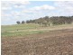 677 Millbrook-Back Plains Road, Back Plains QLD 4361