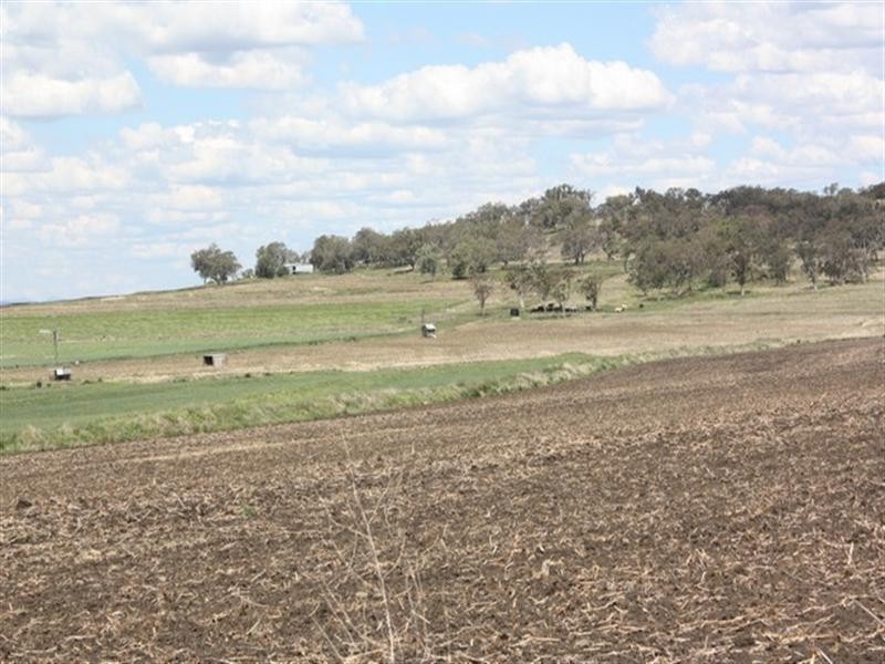 677 Millbrook-Back Plains Road, Back Plains QLD 4361