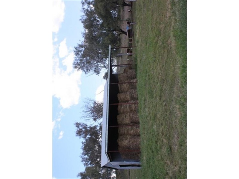 677 Millbrook-Back Plains Road, Back Plains QLD 4361