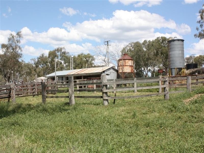 677 Millbrook-Back Plains Road, Back Plains QLD 4361