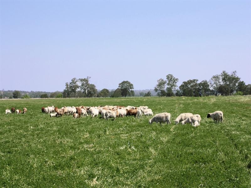 0 Cunningham Road, Wheatvale QLD 4370