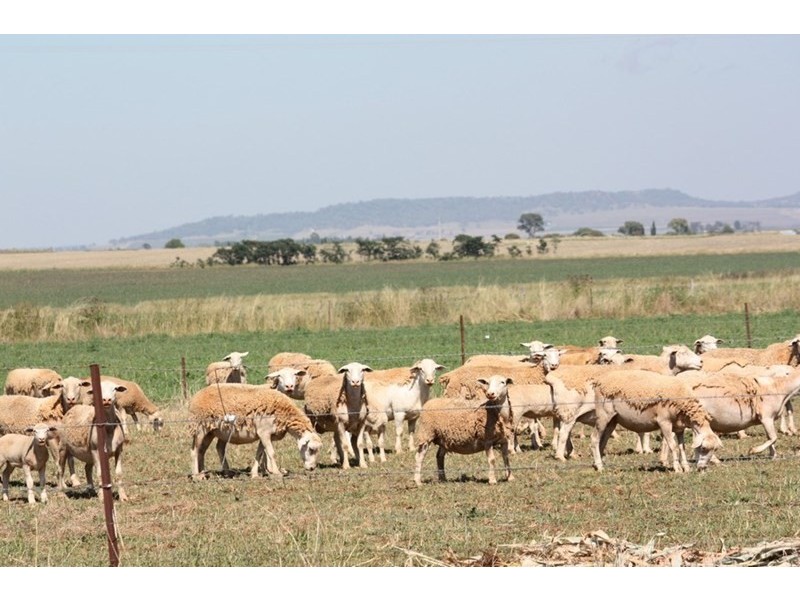 56 Newport Road, Clifton QLD 4361