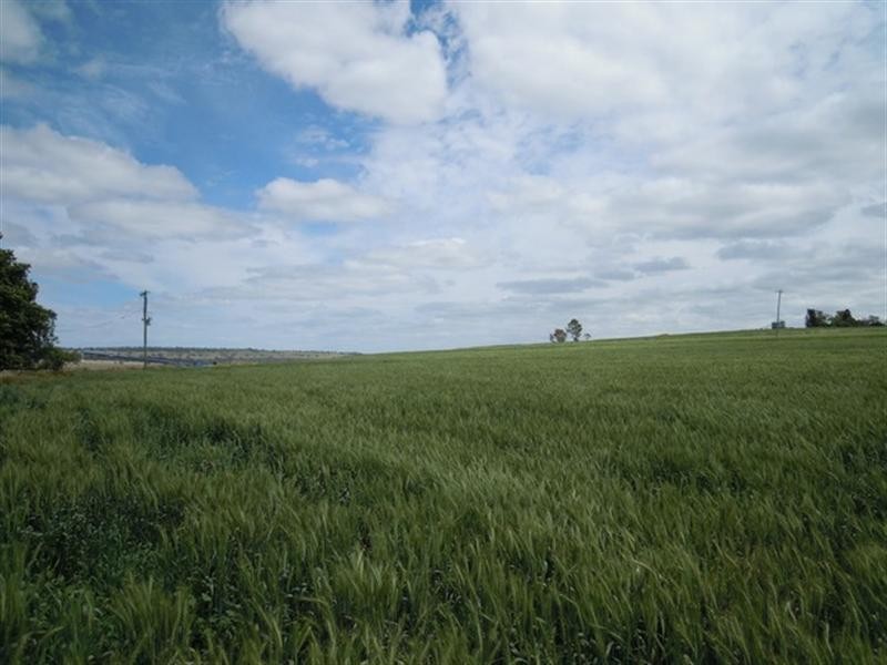 89 Ryeford – Back Plains Road, Ryeford QLD 4361