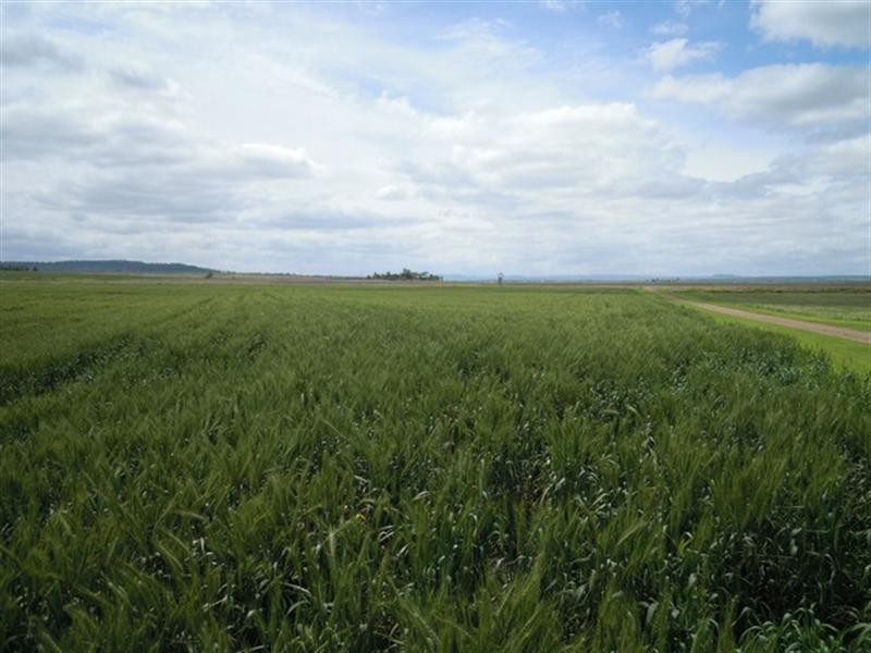 89 Ryeford – Back Plains Road, Ryeford QLD 4361