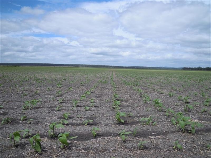 89 Ryeford – Back Plains Road, Ryeford QLD 4361