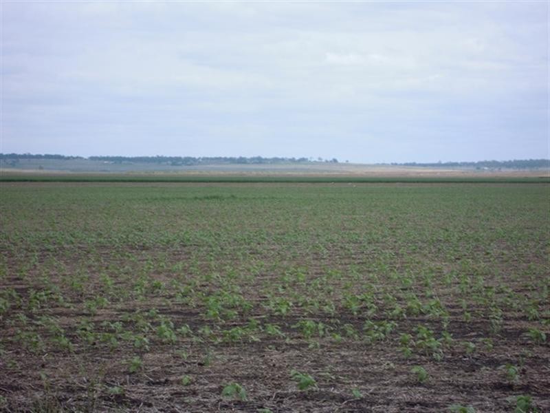 89 Ryeford – Back Plains Road, Ryeford QLD 4361