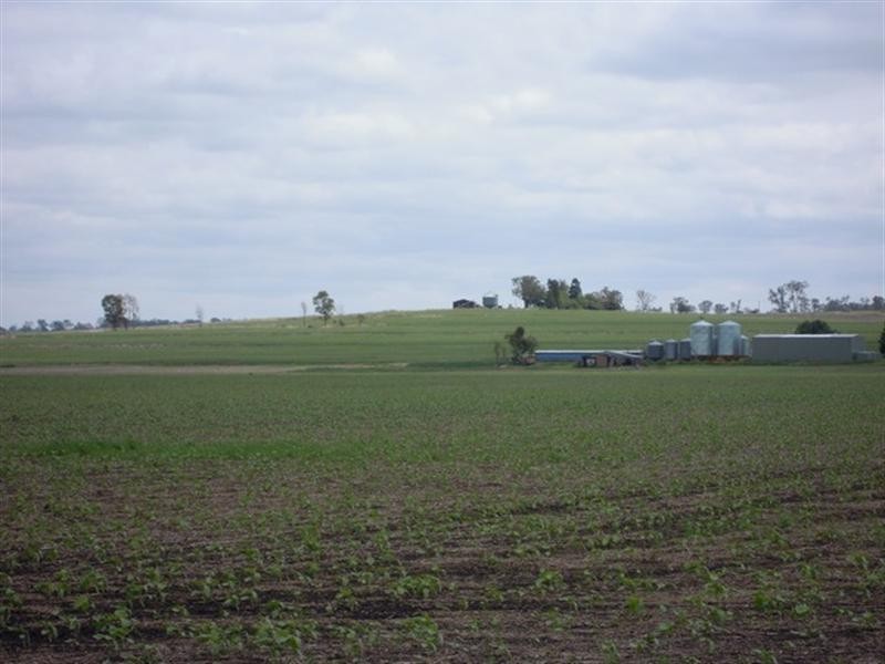 89 Ryeford – Back Plains Road, Ryeford QLD 4361