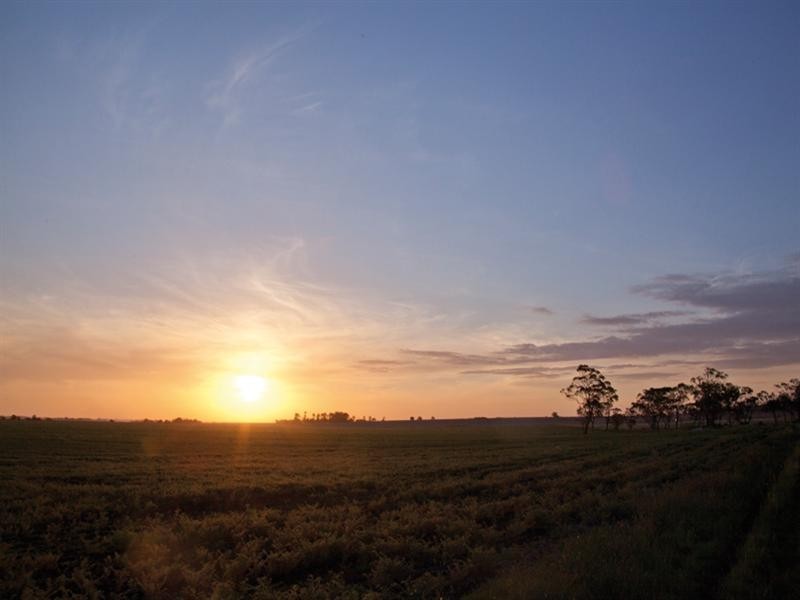 00 Pittsworth-Clifton Road, Pittsworth QLD 4356
