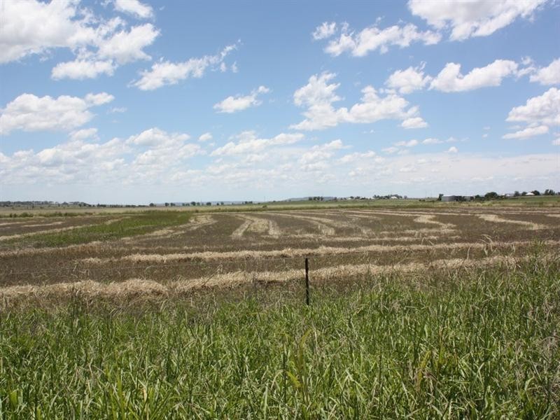 0 Saal Road Spring Creek, Clifton QLD 4361