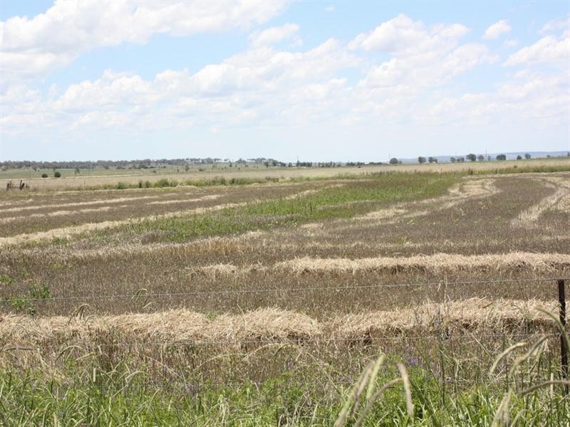 0 Saal Road Spring Creek, Clifton QLD 4361