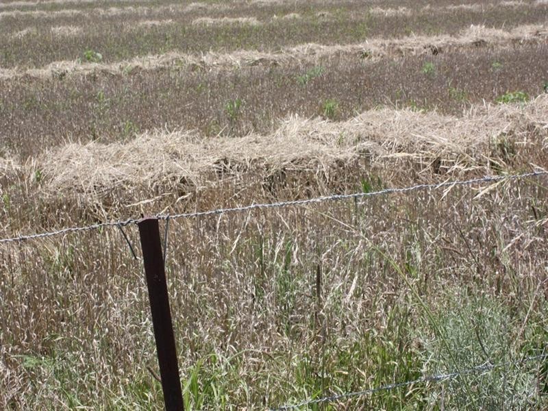 0 Saal Road Spring Creek, Clifton QLD 4361