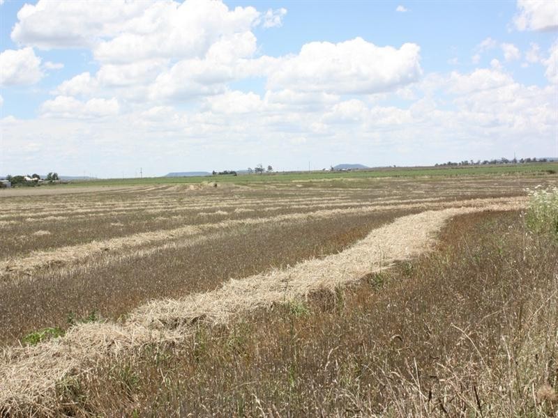 0 Saal Road Spring Creek, Clifton QLD 4361