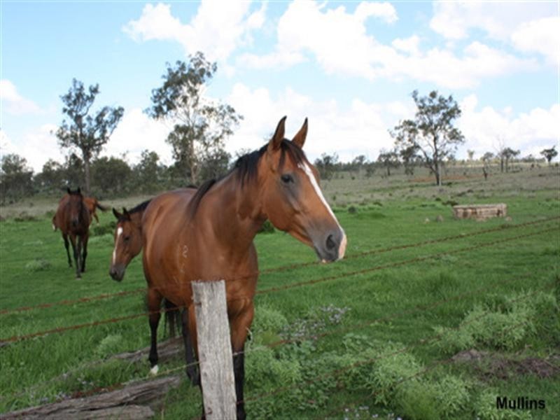 0 Mt Manning Road, Allora QLD 4362