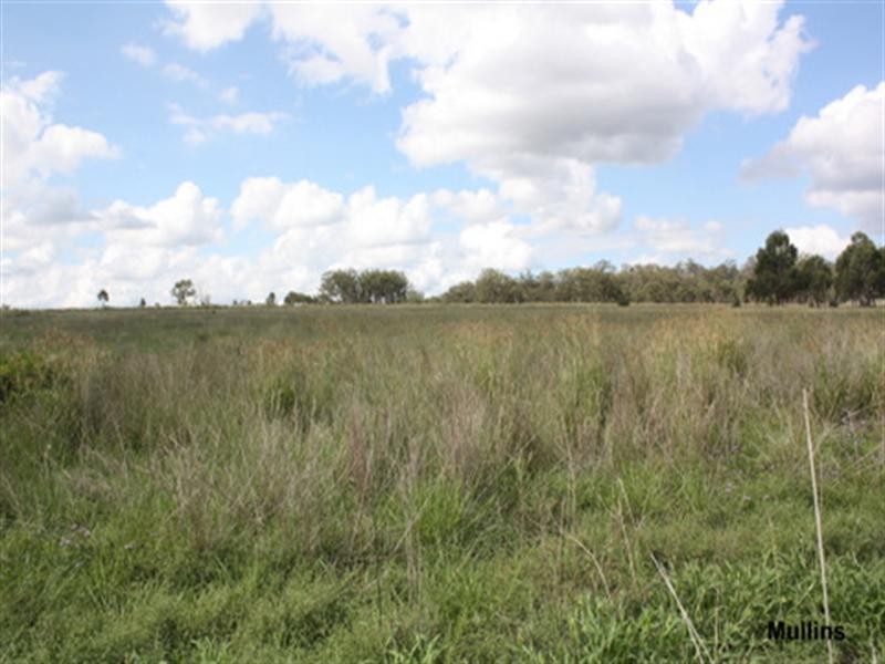 0 Mt Manning Road, Allora QLD 4362