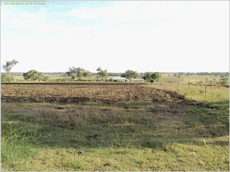 388 Berghofer, Westbrook QLD 4350