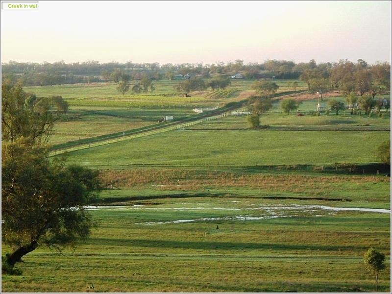 388 Berghofer, Westbrook QLD 4350