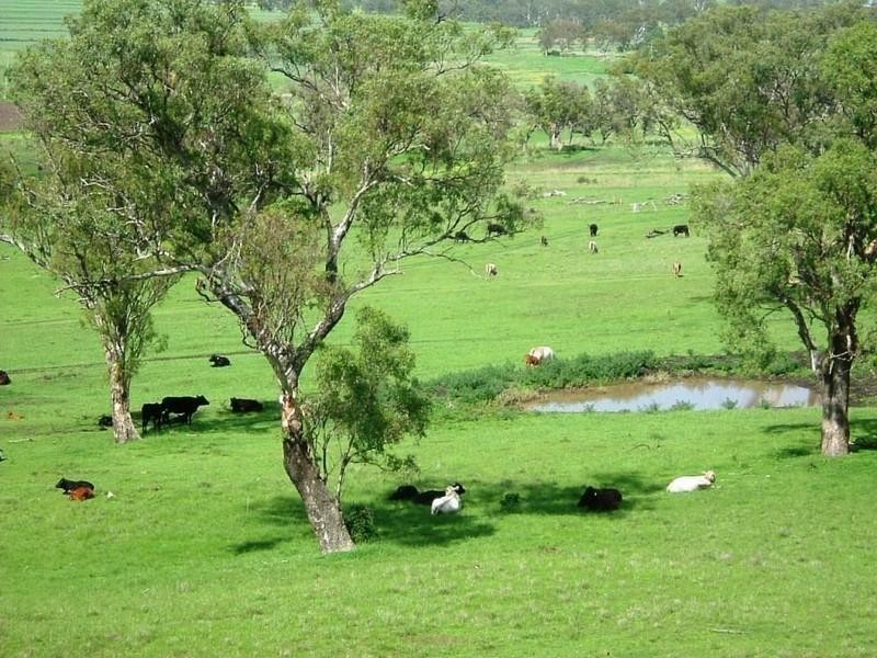 388 Berghofer, Westbrook QLD 4350