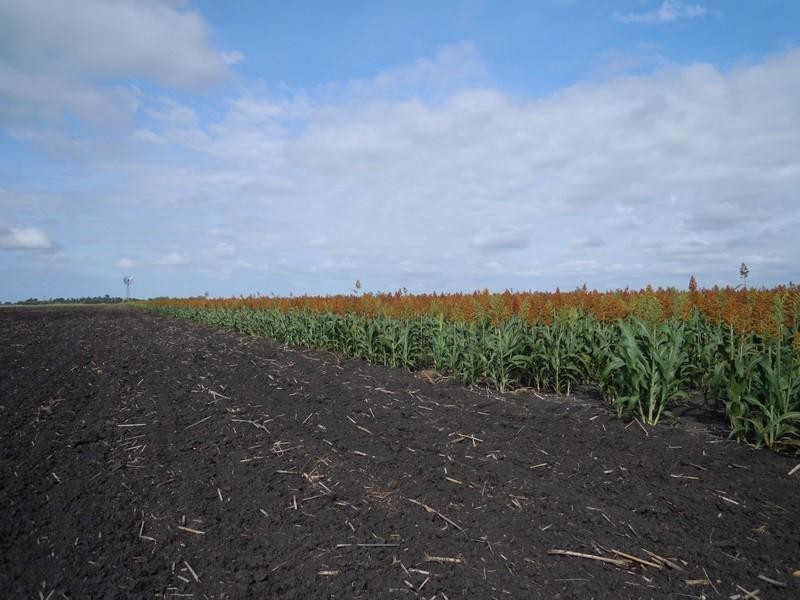 0 Clifton – Pittsworth Road, Pittsworth QLD 4356