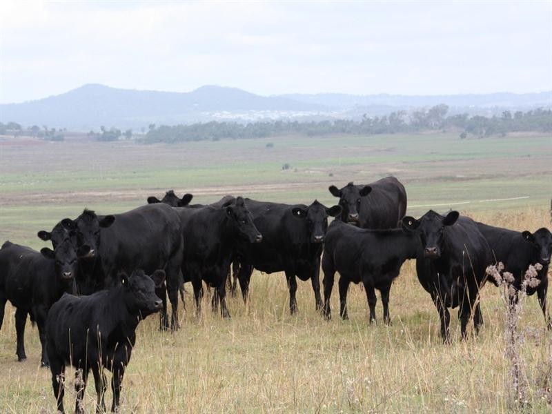 1655 Cecil Plains Highway, Wellcamp QLD 4350