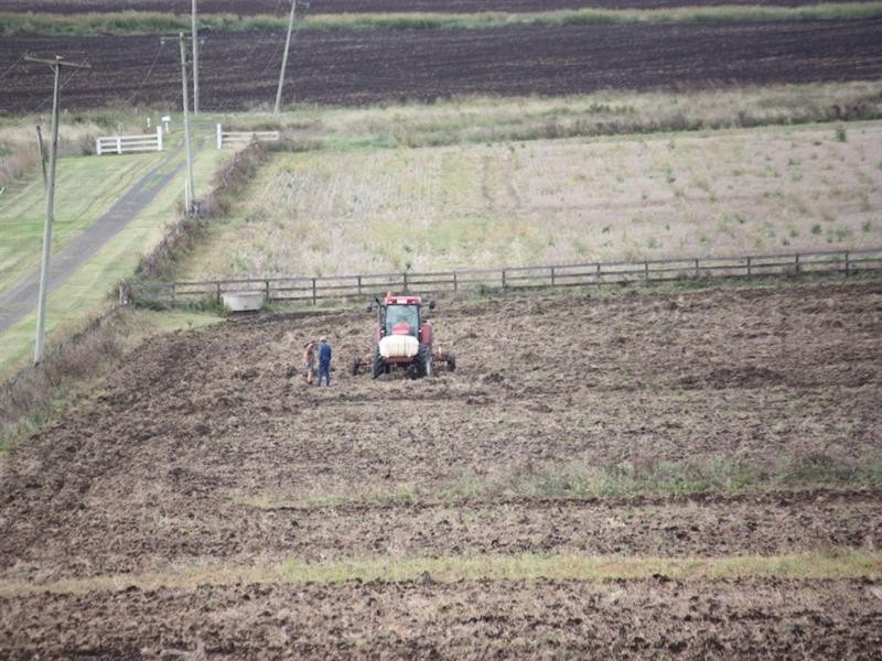 1655 Cecil Plains Highway, Wellcamp QLD 4350