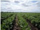 0 Leslie Bridge Road, Pittsworth QLD 4356