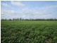0 Leslie Bridge Road, Pittsworth QLD 4356